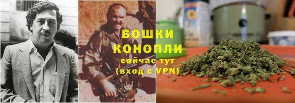 ПСИЛОЦИБИНОВЫЕ ГРИБЫ Абаза