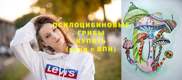 ПСИЛОЦИБИНОВЫЕ ГРИБЫ Абаза