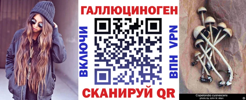 Галлюциногенные грибы Psilocybine cubensis Красавино